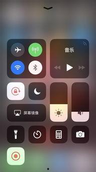 手机视频录制,捕捉生活瞬间,记录美好时光